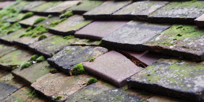 Little Braxted roof repair costs